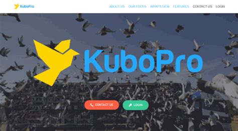 kubopro result|KuboPro .